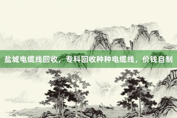 盐城电缆线回收，专科回收种种电缆线，价钱自制