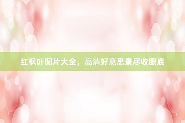 红枫叶图片大全,高清好意思景尽收眼底
