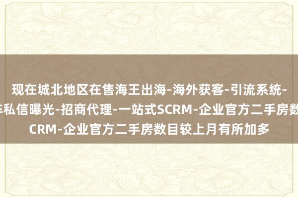 现在城北地区在售海王出海-海外获客-引流系统-外贸营销推广-矩阵私信曝光-招商代理-一站式SCRM-企业官方二手房数目较上月有所加多